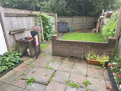 Picture 10